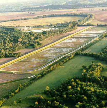 Wet Land Process Sewage Treatment & Disposal